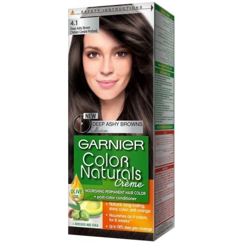 garnier -صبغة شعر أسود جامق 4.1